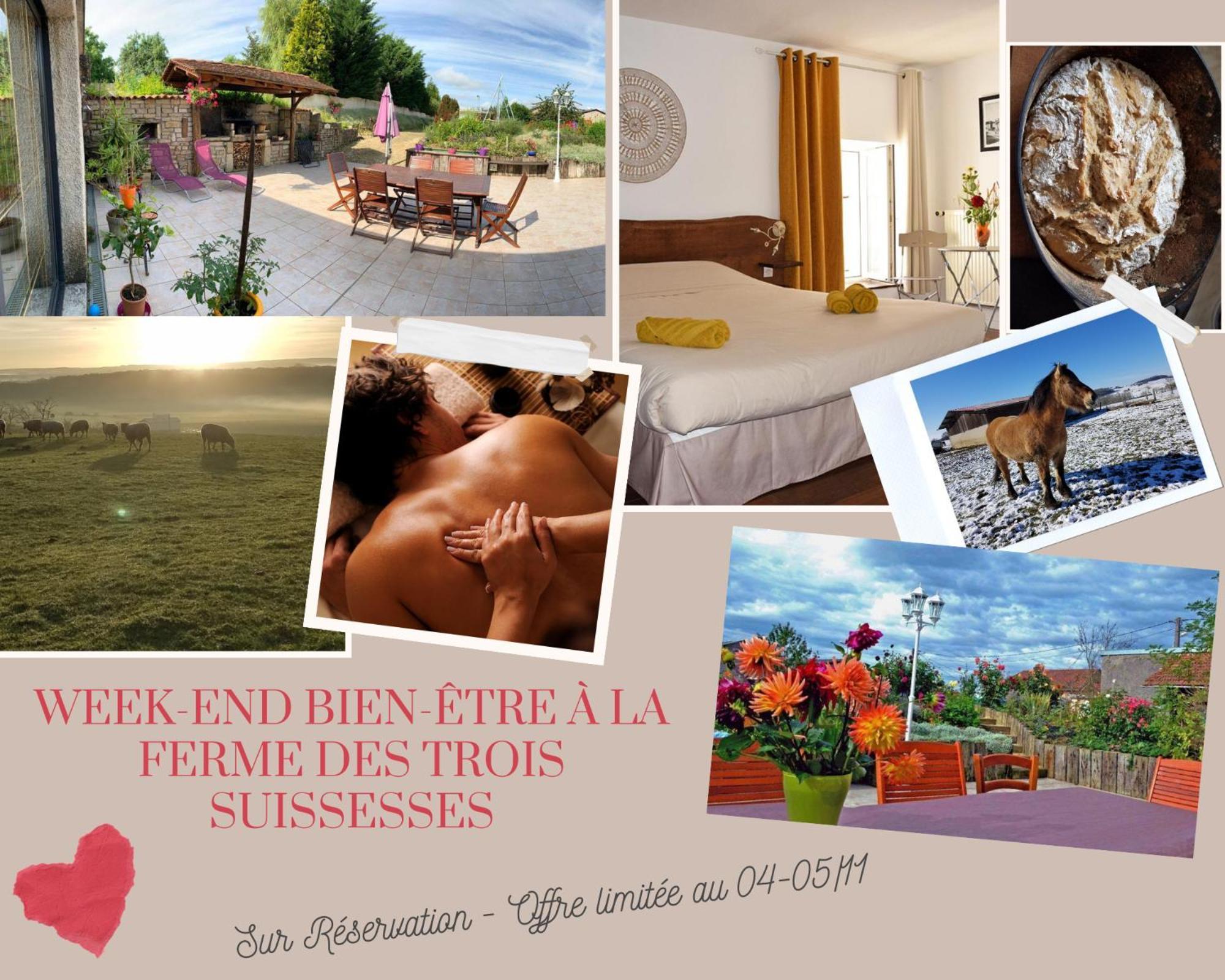 La Ferme Des 3 Suissesses Bed and Breakfast Saint-Paul  Εξωτερικό φωτογραφία