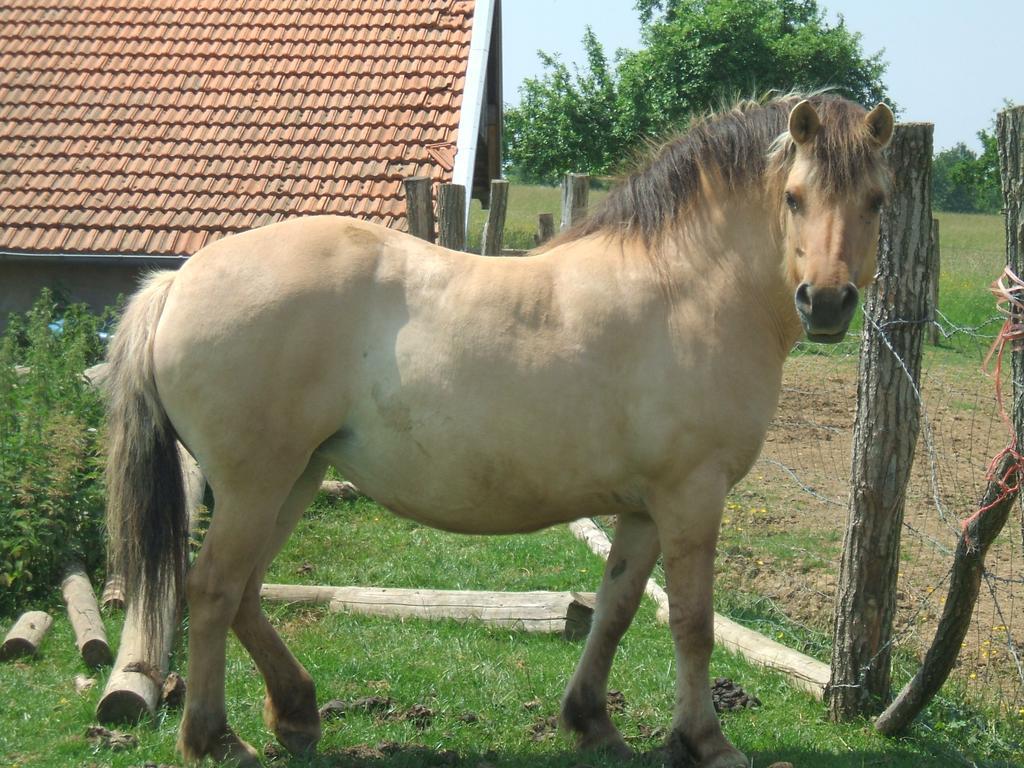 La Ferme Des 3 Suissesses Bed and Breakfast Saint-Paul  Εξωτερικό φωτογραφία