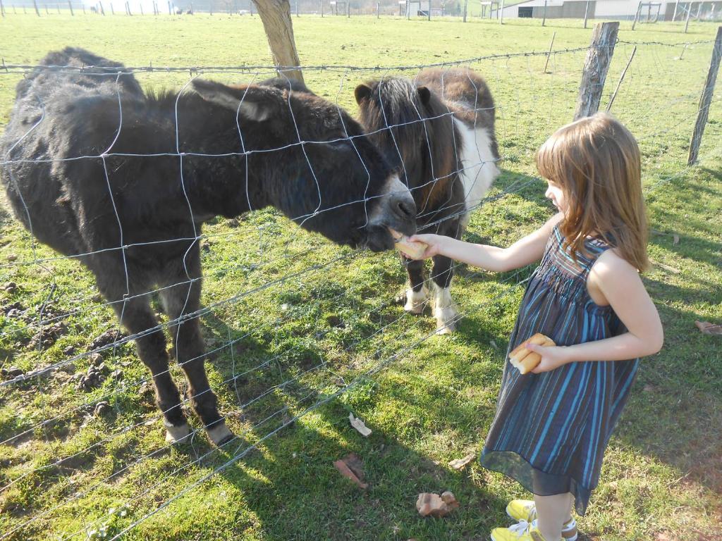 La Ferme Des 3 Suissesses Bed and Breakfast Saint-Paul  Εξωτερικό φωτογραφία